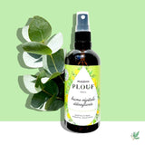 Detoxifying vegetable mist 100ml